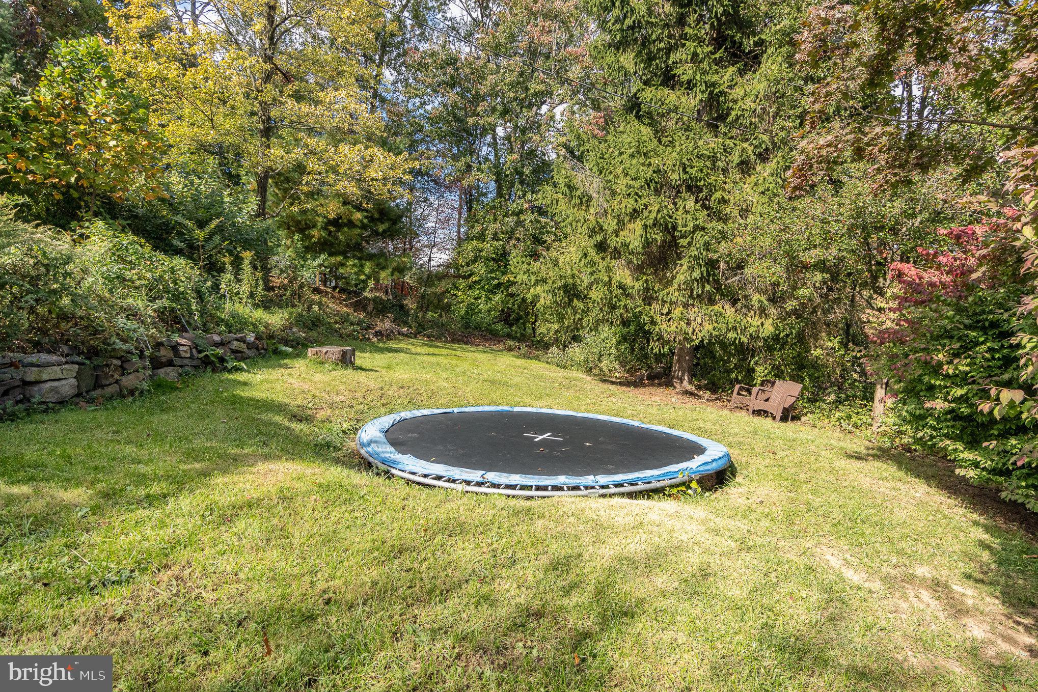 240 Clark Road Hershey, PA 17033 - Photo 57 of 65 Built in trampoline!