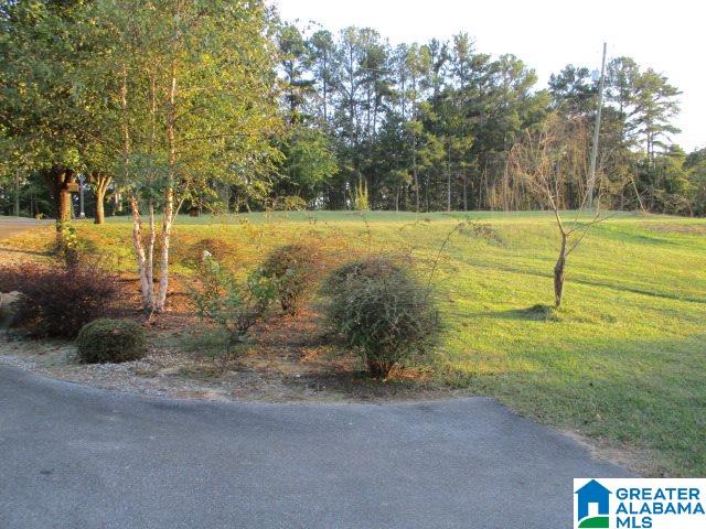4153 Airport Road Altoona, AL 35952 - Photo 12 of 16