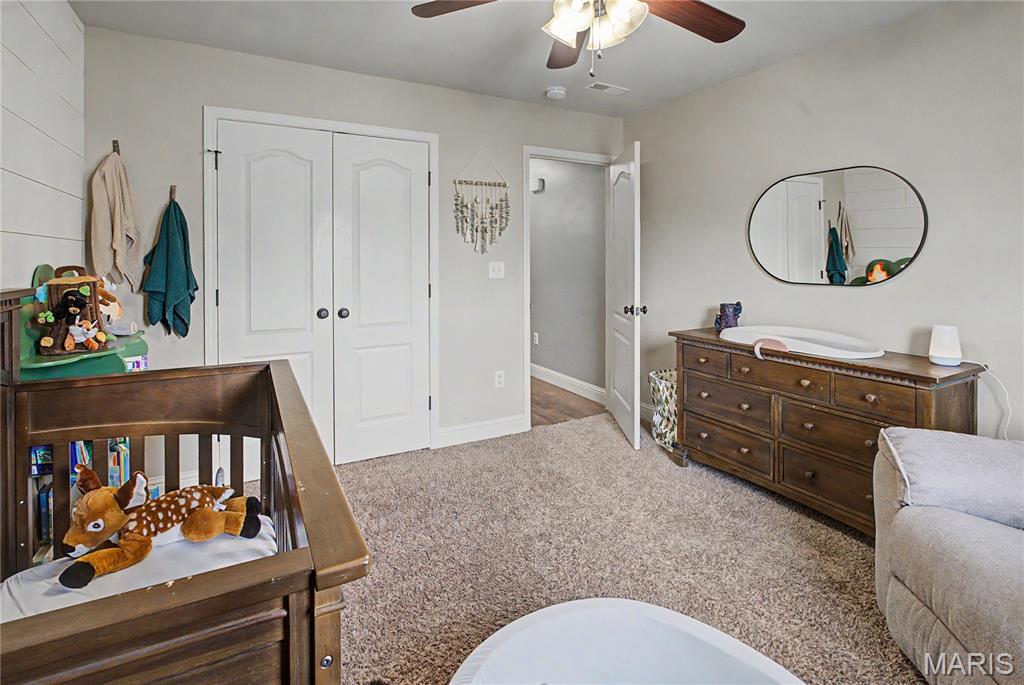 171 Red Hawk Ridge Cape Girardeau, MO 63701 - Photo 22 of 33