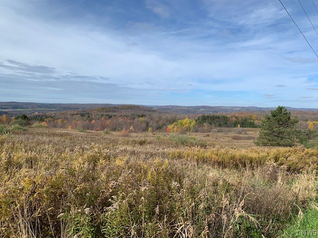 1 Mumbulo Road Edmeston, NY 13335 - Photo 2 of 4