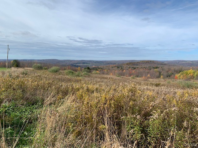 1 Mumbulo Road Edmeston, NY 13335 - Photo 3 of 4