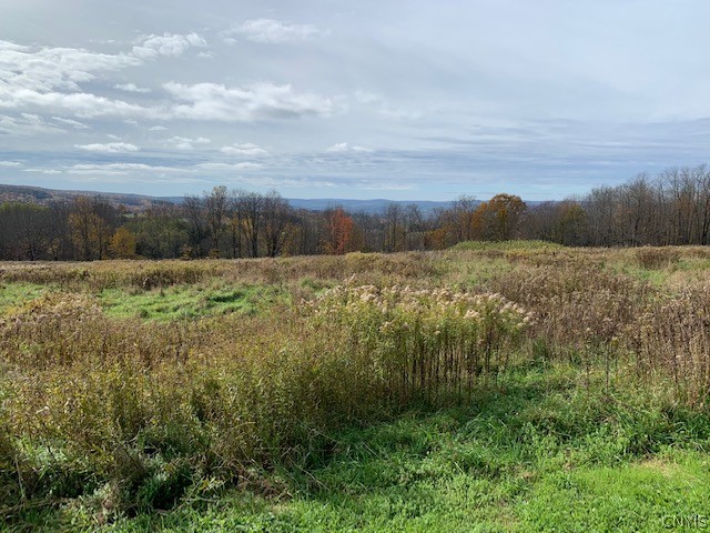 1 Mumbulo Road Edmeston, NY 13335 - Photo 4 of 4