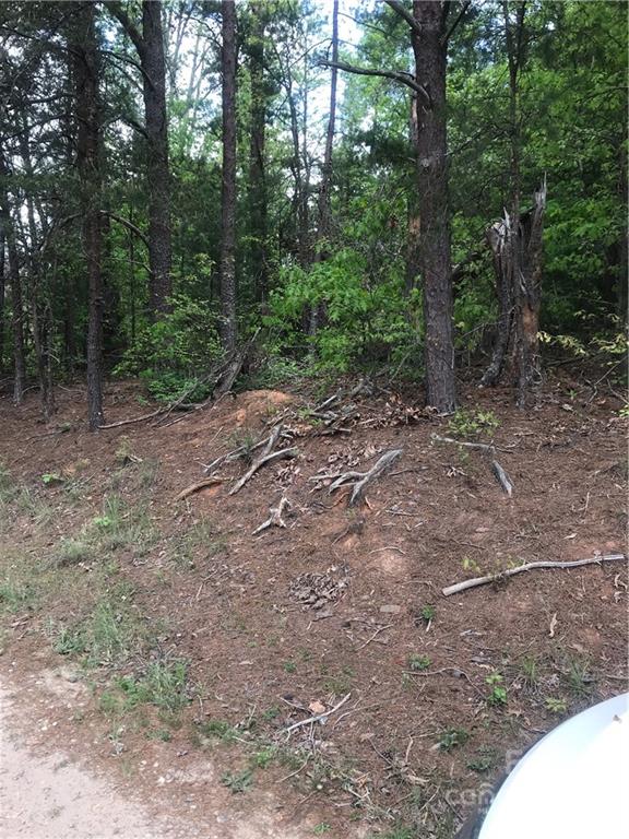 0 Talley Reed Place Granite Falls, NC 28630 - Photo 6 of 9 Gallery Image 6