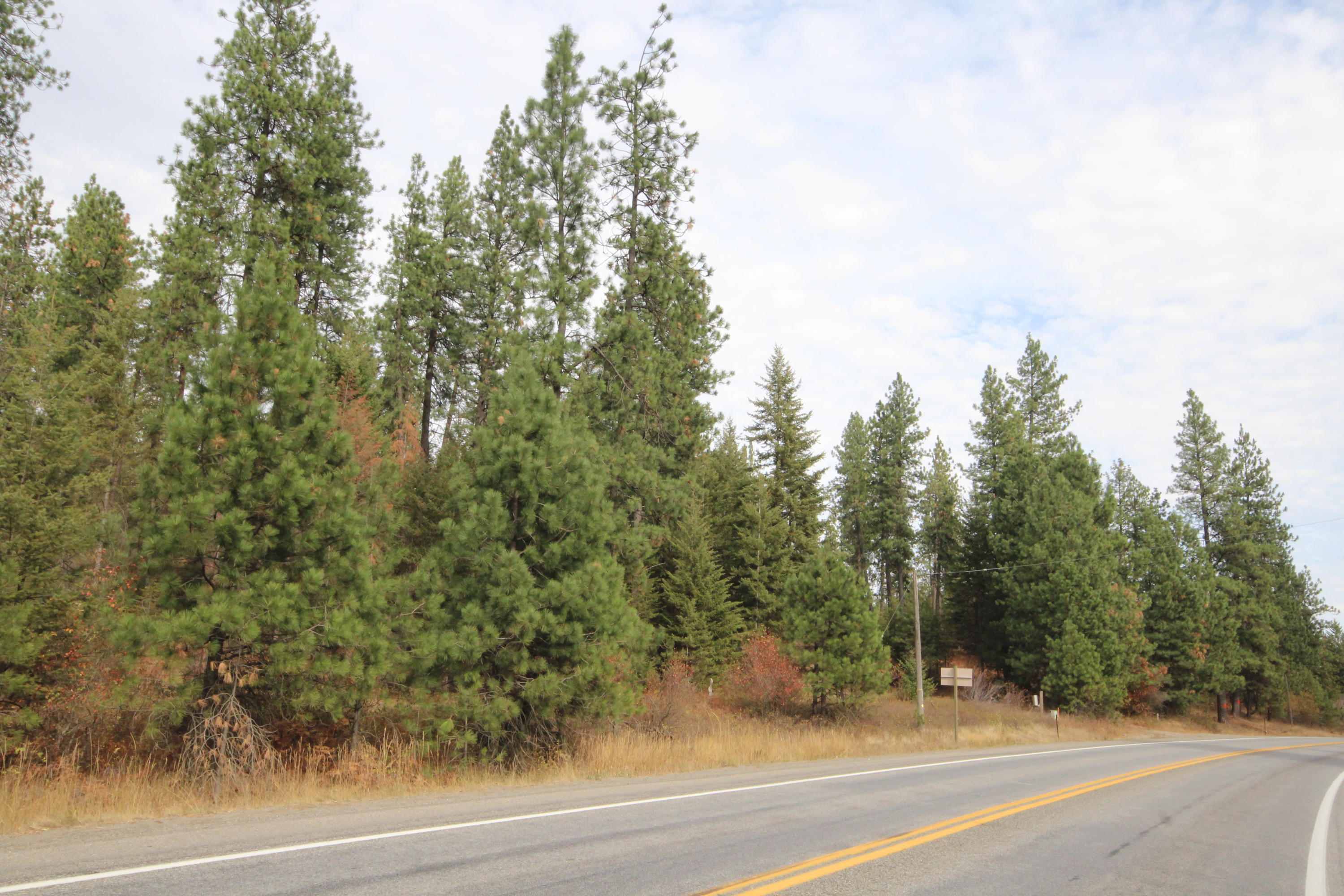 53 West Highway 53 Rathdrum, ID 83858 - Photo 1 of 1 Main View on Hwy #53