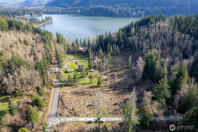 a view of a lake with a mountain and a forest