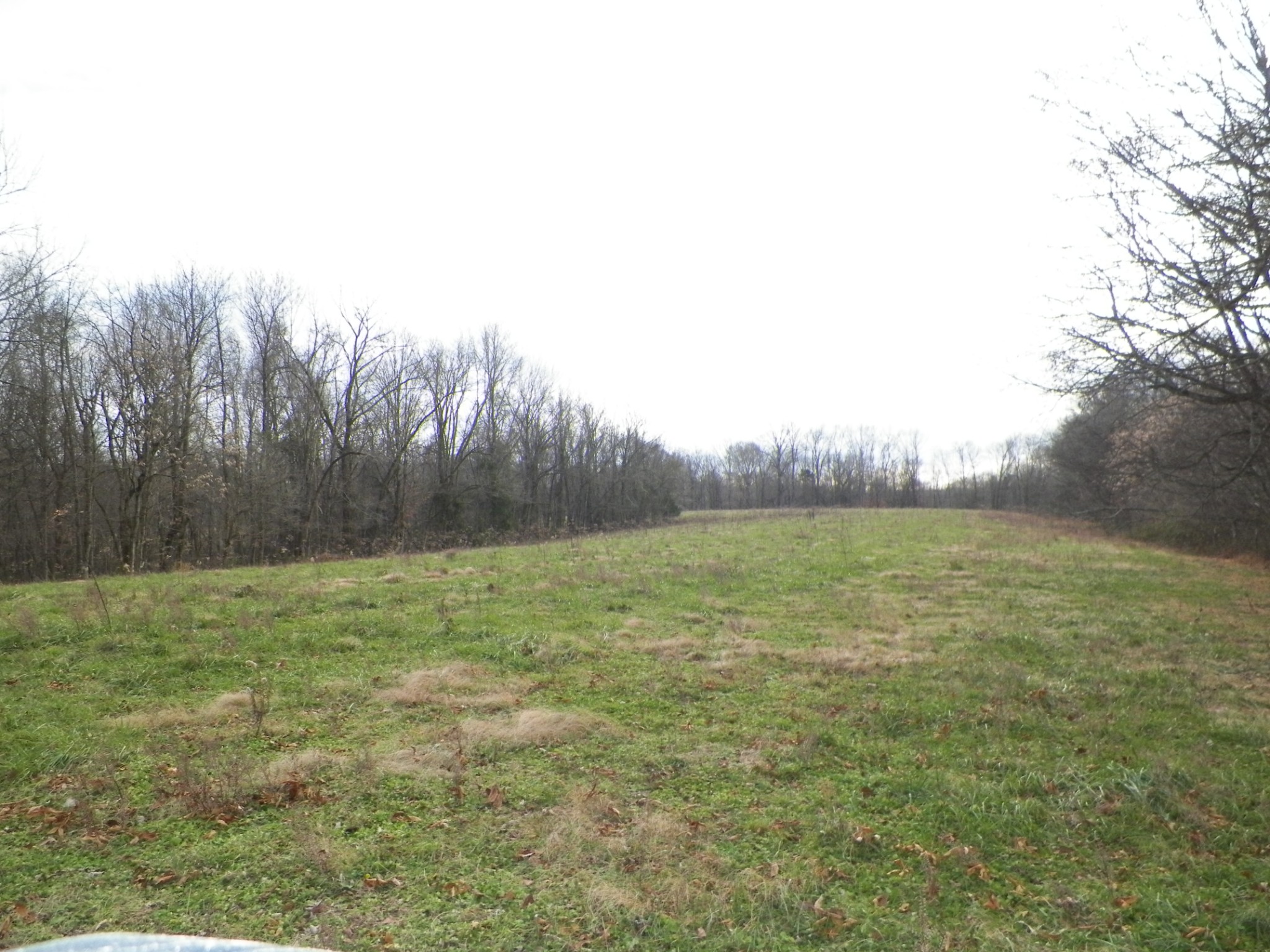 1 Ridge Top Road Holland, KY 42153 - Photo 3 of 10 Gallery Image 3
