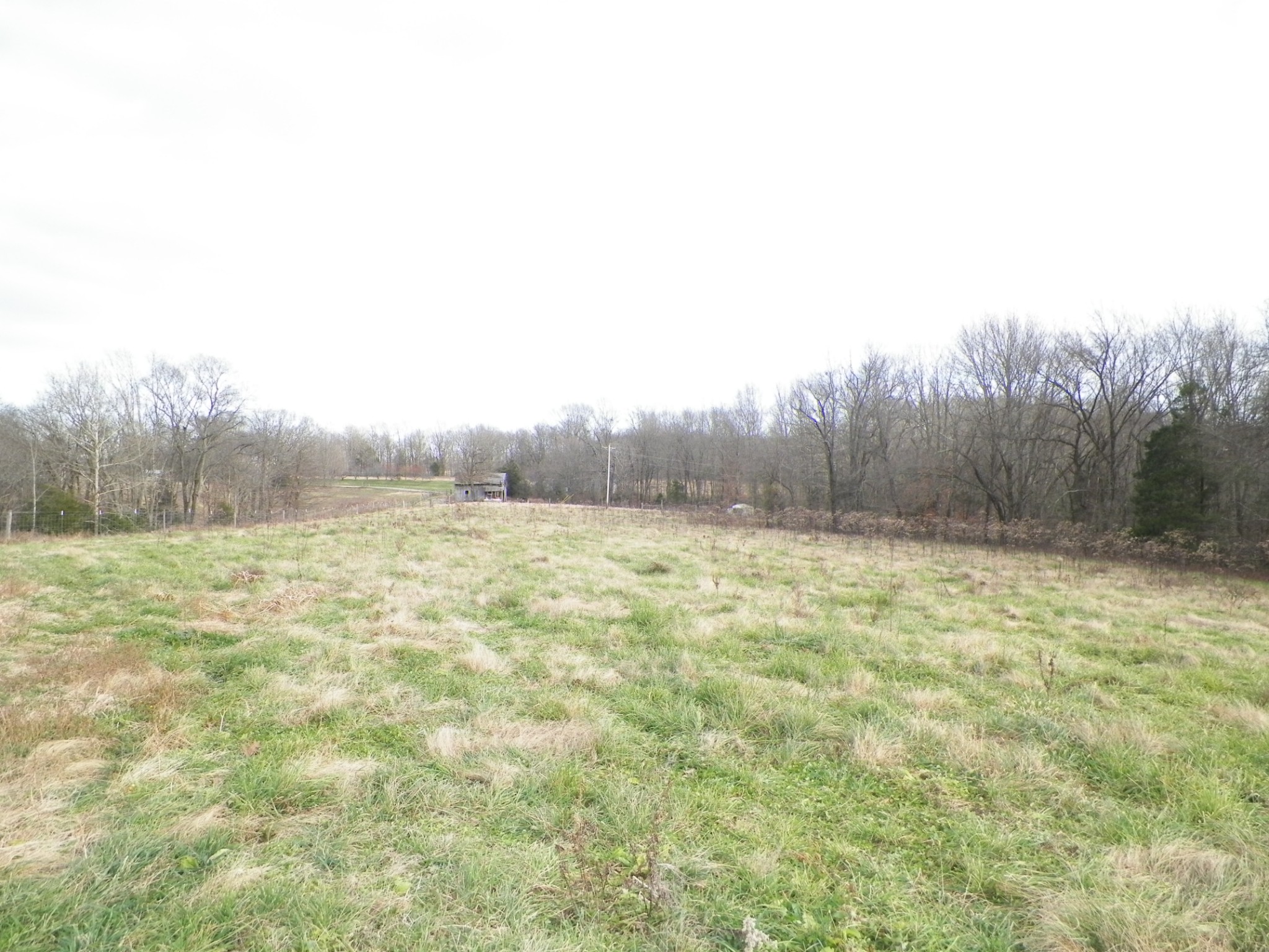 1 Ridge Top Road Holland, KY 42153 - Photo 4 of 10 Gallery Image 4