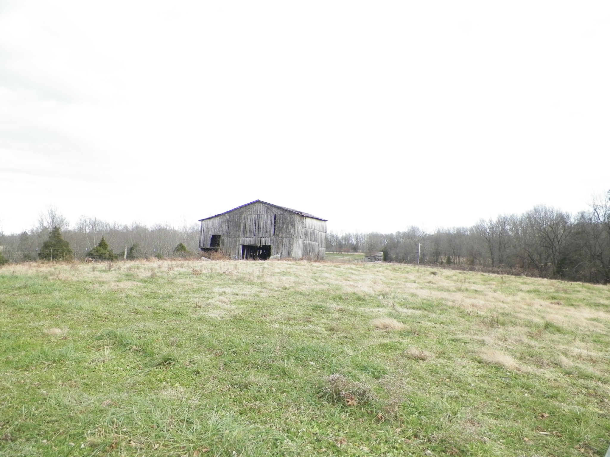 1 Ridge Top Road Holland, KY 42153 - Photo 5 of 10 Gallery Image 5