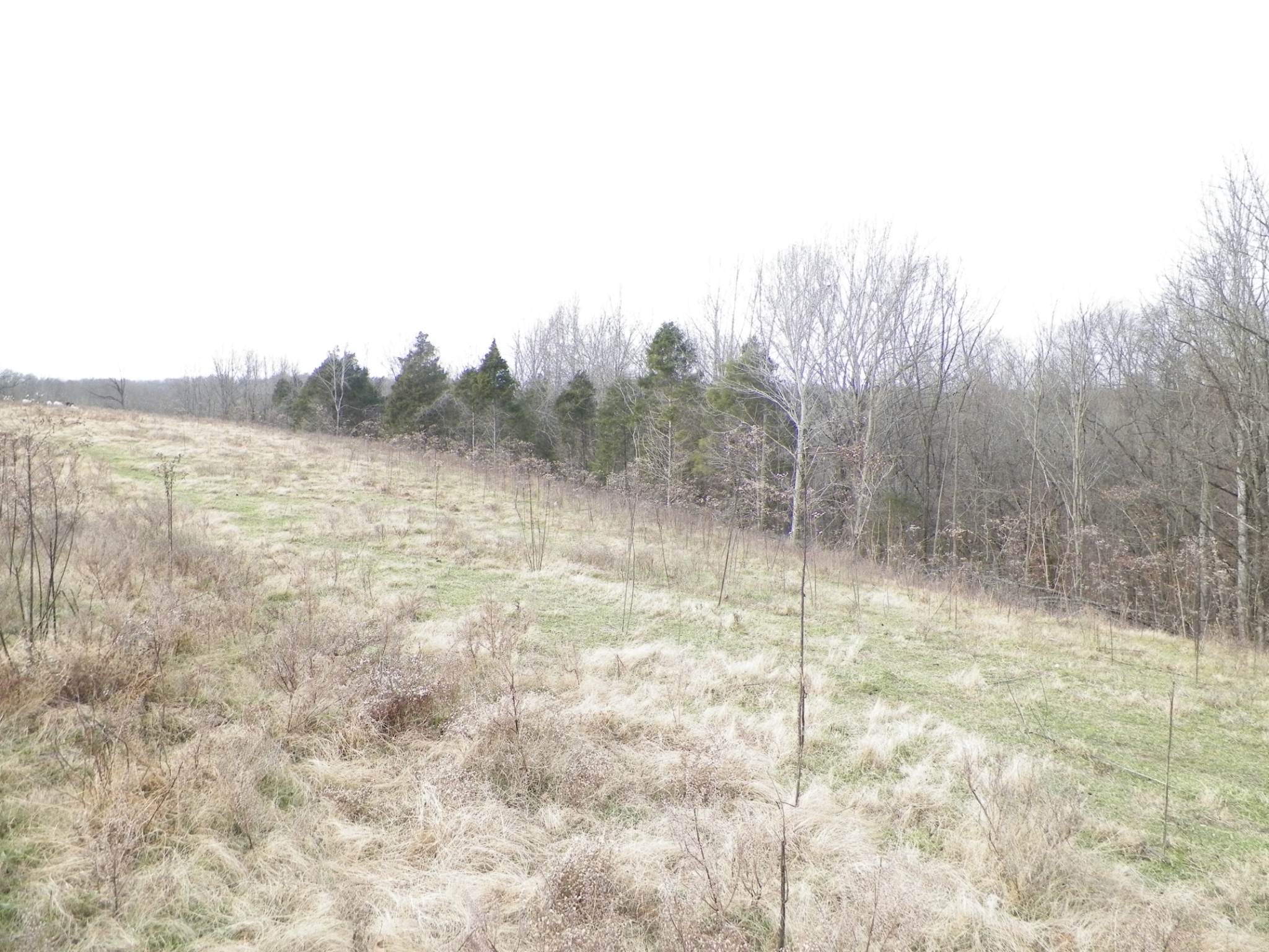 1 Ridge Top Road Holland, KY 42153 - Photo 8 of 10 Gallery Image 8