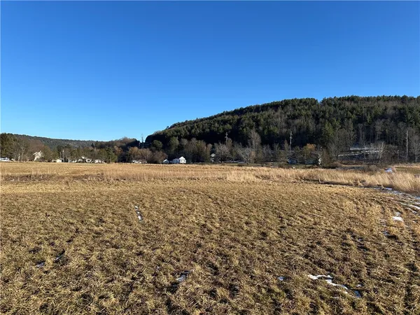 $135,000 | 171 Cronk Lane, Roxbury, NY 12434