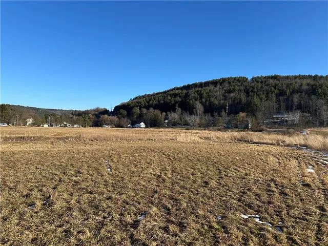 $150,000 | 171 Cronk Lane, Roxbury, NY 12434