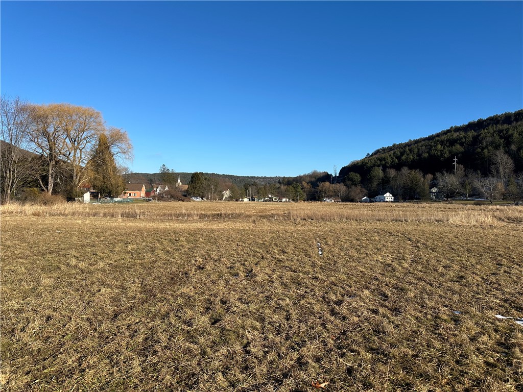 171 Cronk Lane Roxbury, NY 12434 - Photo 12 of 15