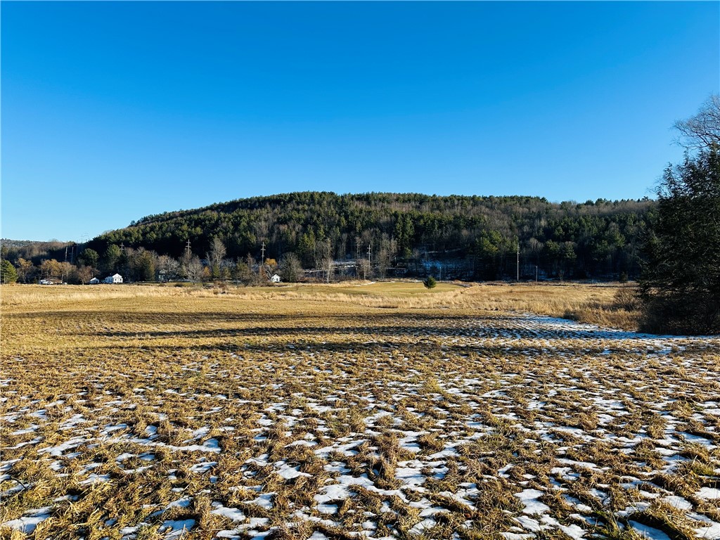 171 Cronk Lane Roxbury, NY 12434 - Photo 13 of 15