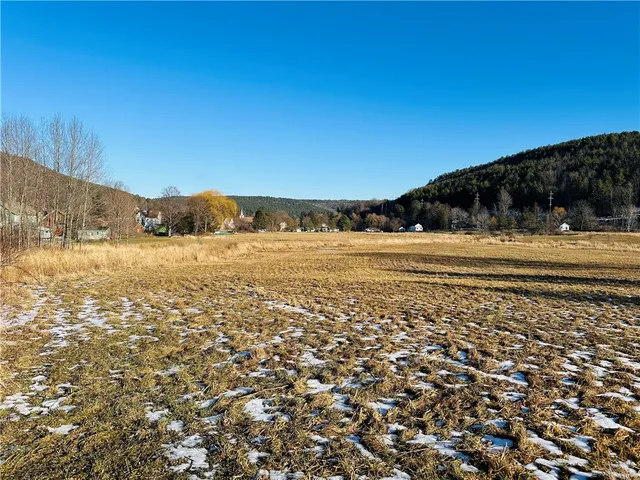 $150,000 | 171 Cronk Lane, Roxbury, NY 12434