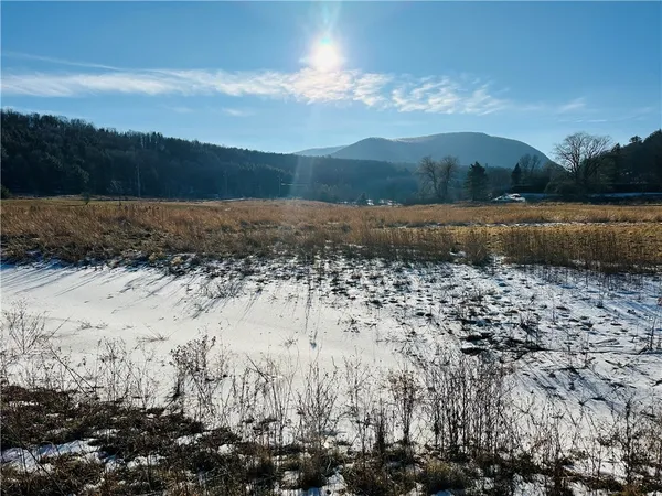 $135,000 | 171 Cronk Lane, Roxbury, NY 12434