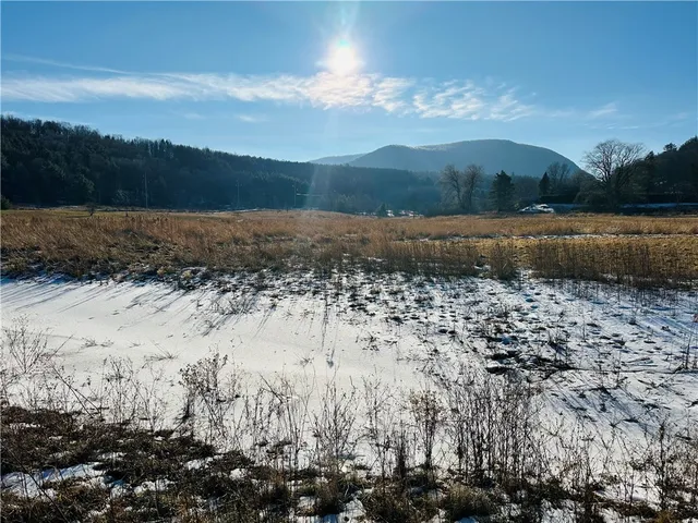 $150,000 | 171 Cronk Lane, Roxbury, NY 12434