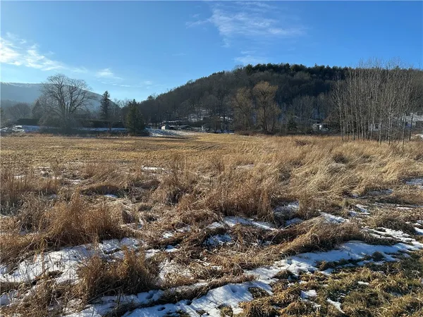 $135,000 | 171 Cronk Lane, Roxbury, NY 12434