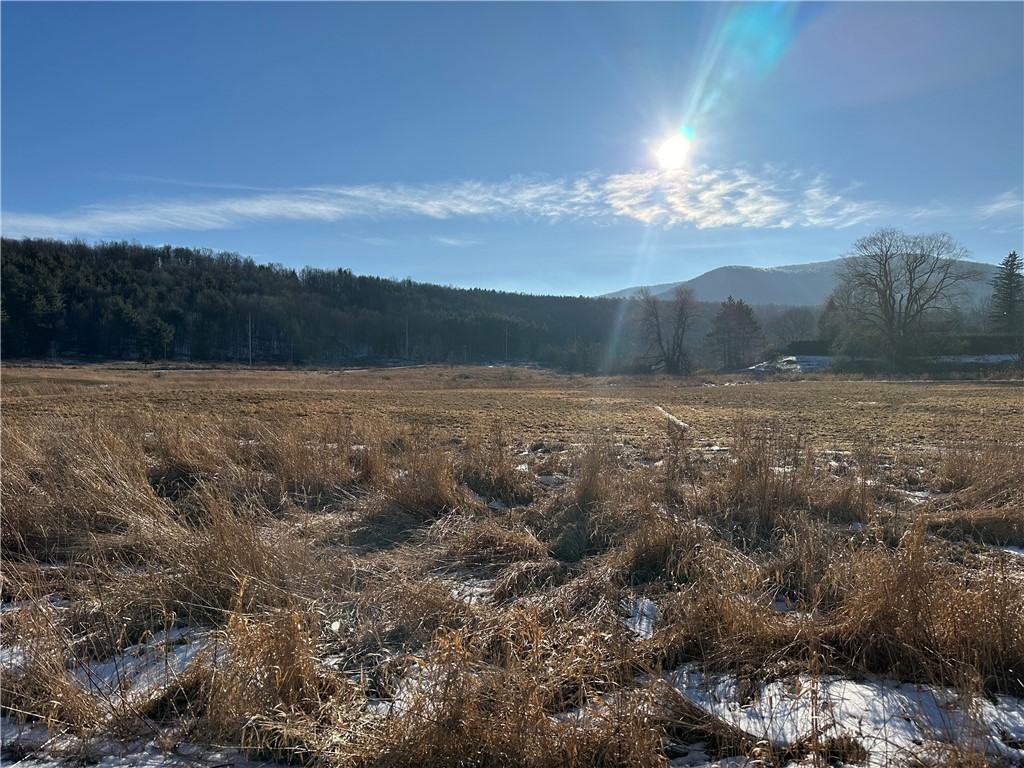 171 Cronk Lane Roxbury, NY 12434 - Photo 5 of 15