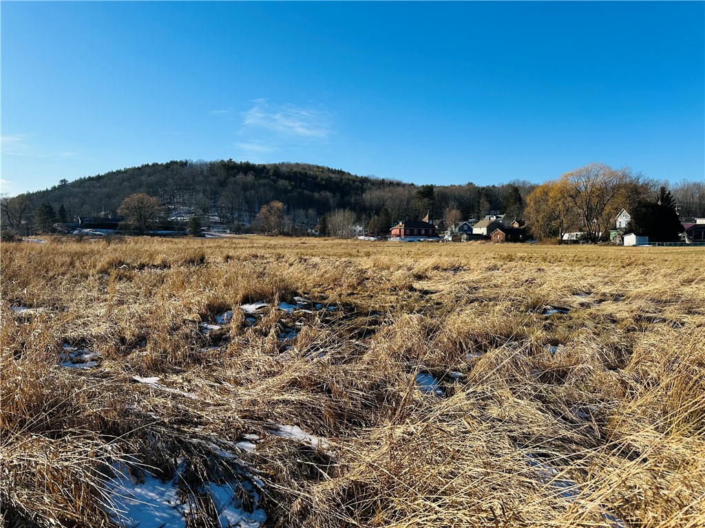 171 Cronk Lane Roxbury, NY 12434 - Photo 6 of 15