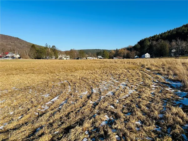 $135,000 | 171 Cronk Lane, Roxbury, NY 12434