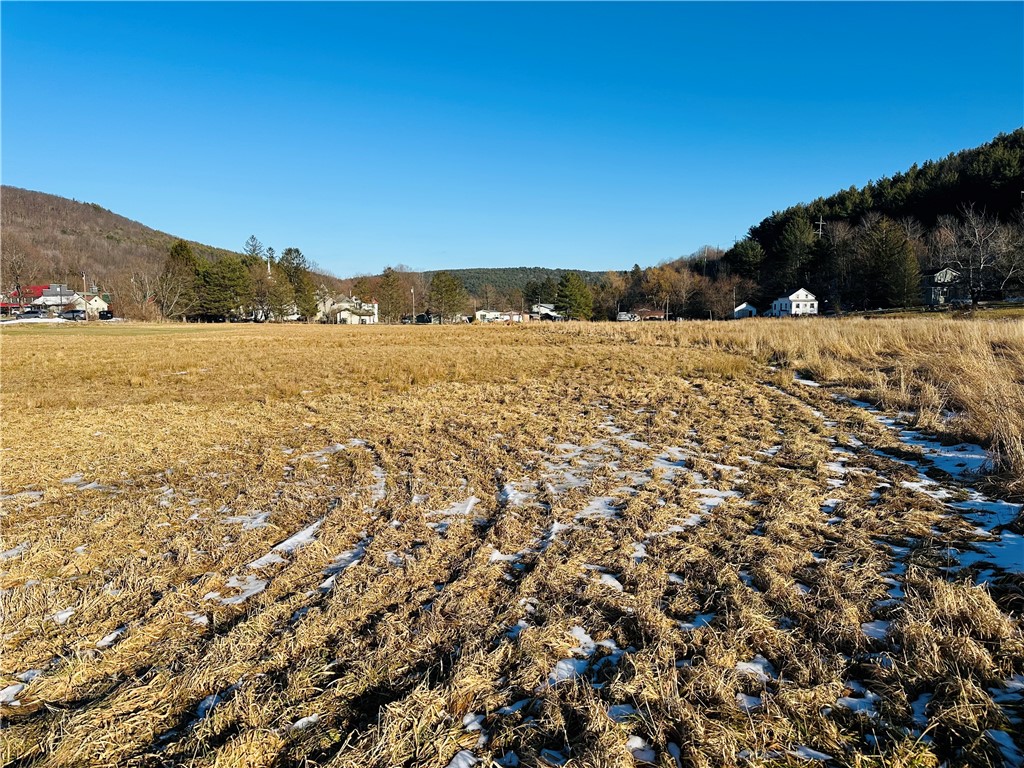 171 Cronk Lane Roxbury, NY 12434 - Photo 7 of 15