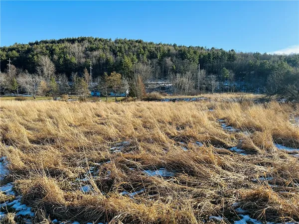 $135,000 | 171 Cronk Lane, Roxbury, NY 12434