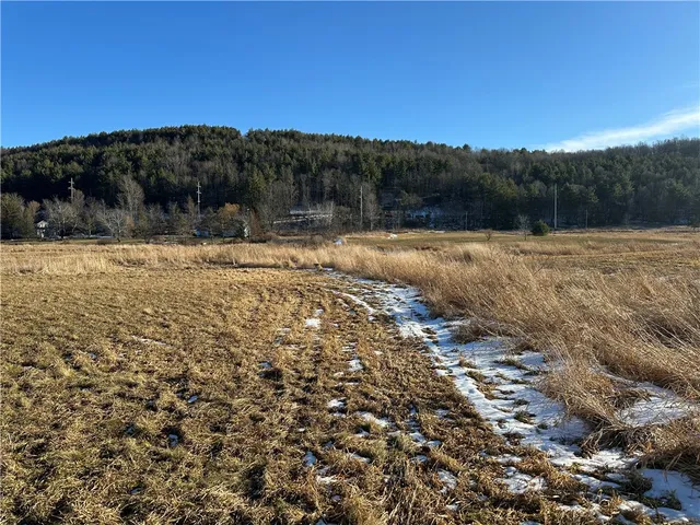 $150,000 | 171 Cronk Lane, Roxbury, NY 12434