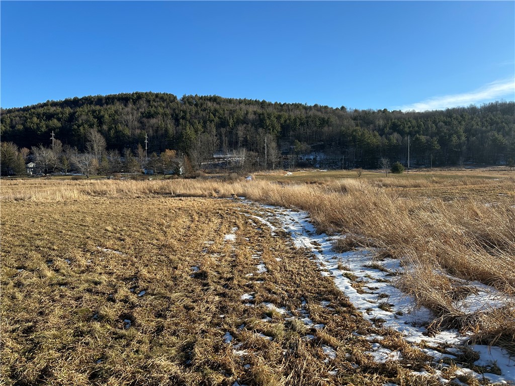 171 Cronk Lane Roxbury, NY 12434 - Photo 10 of 15