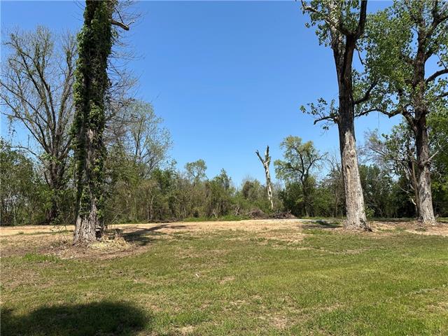 1356 M Cole Road Effie, LA 71331 - Photo 4 of 4