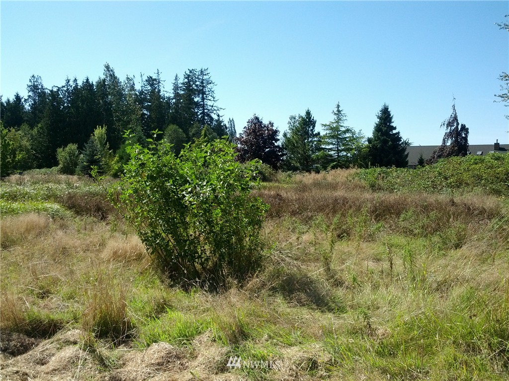 11310 Farm To Market Road Mount Vernon, WA 98273 - Photo 3 of 4 Gallery Image 3