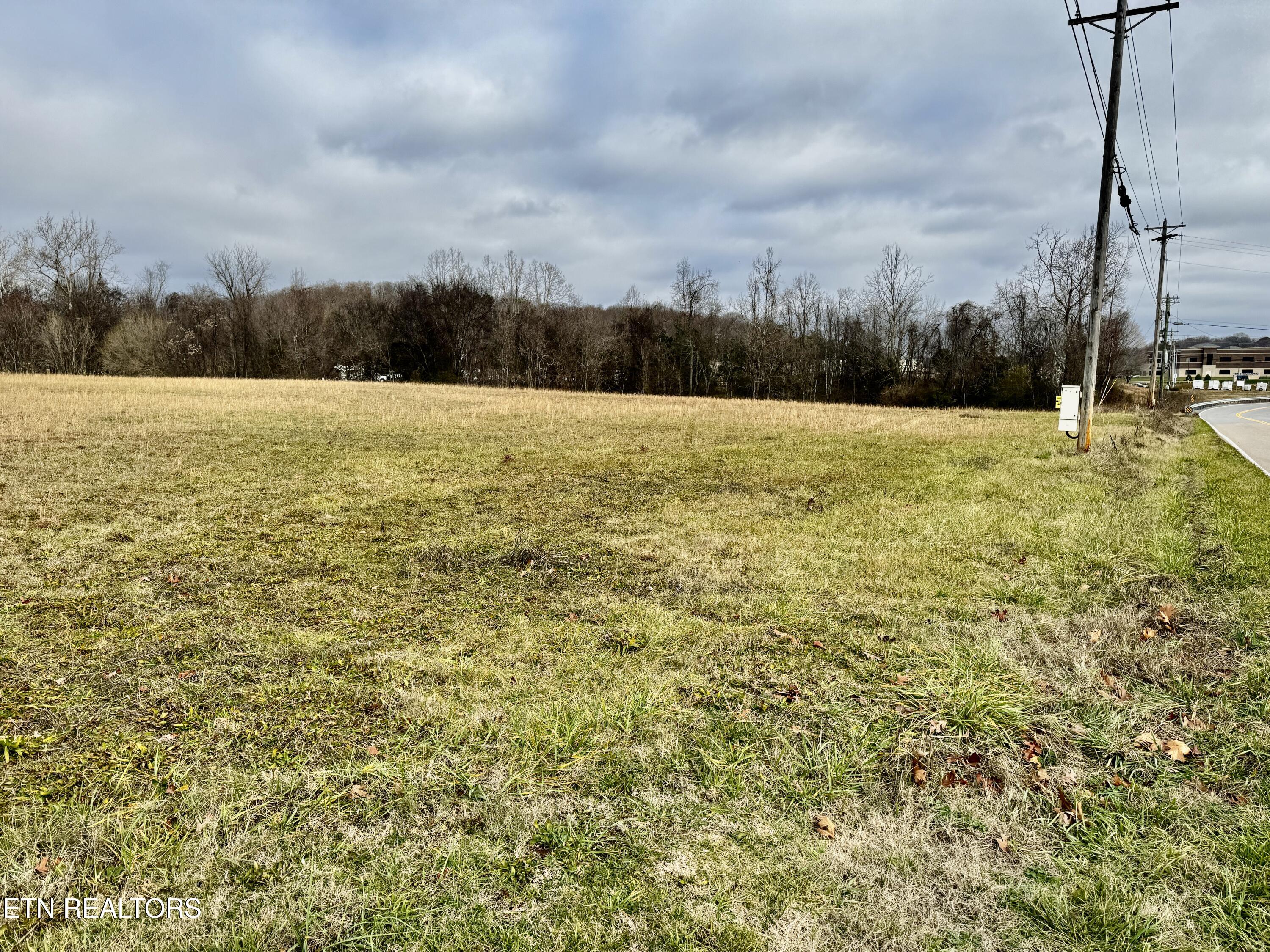 375 South White Pine Road White Pine, TN 37890 - Photo 11 of 26 IMG_0600
