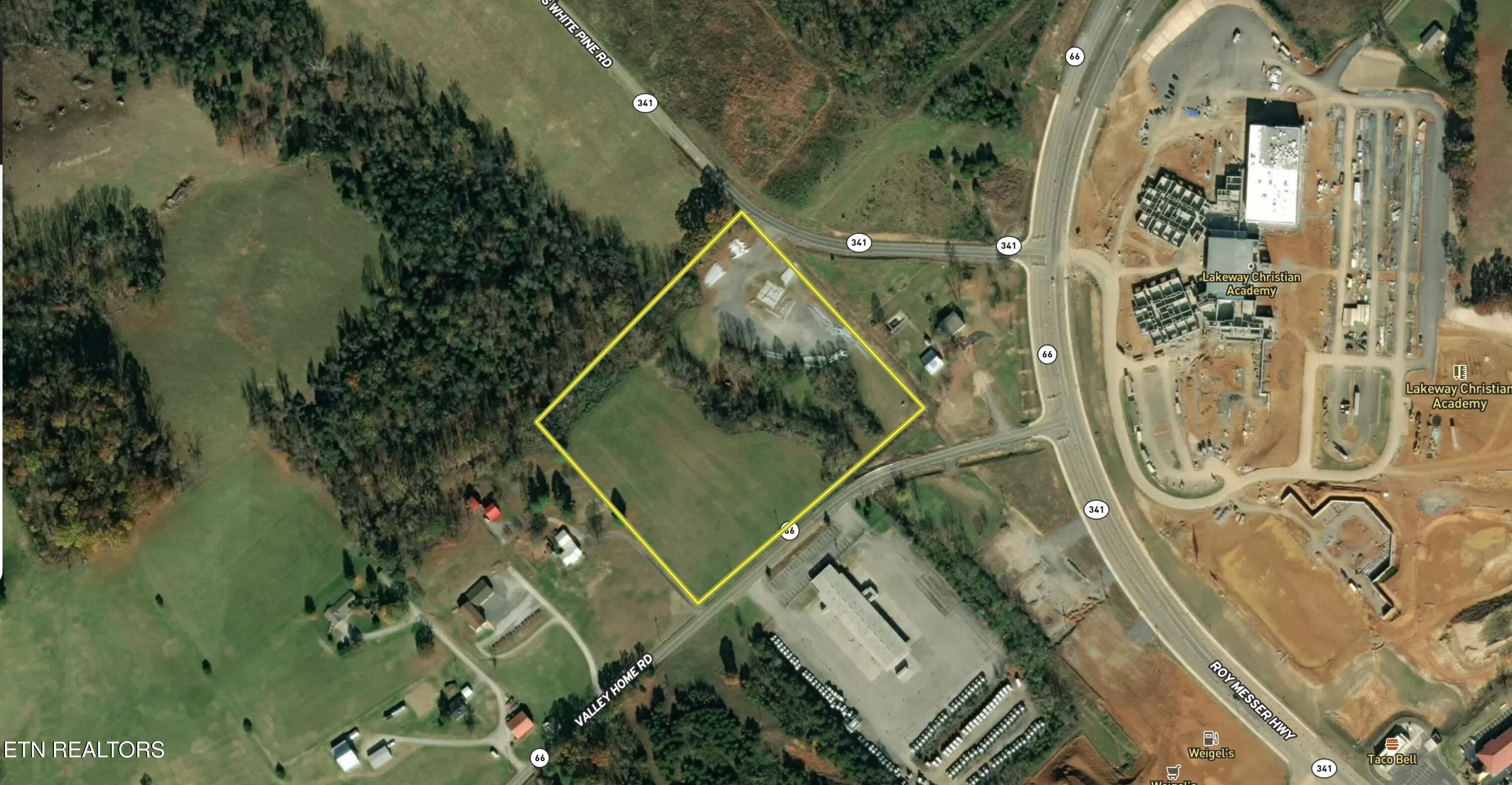 375 South White Pine Road White Pine, TN 37890 - Photo 2 of 26 1