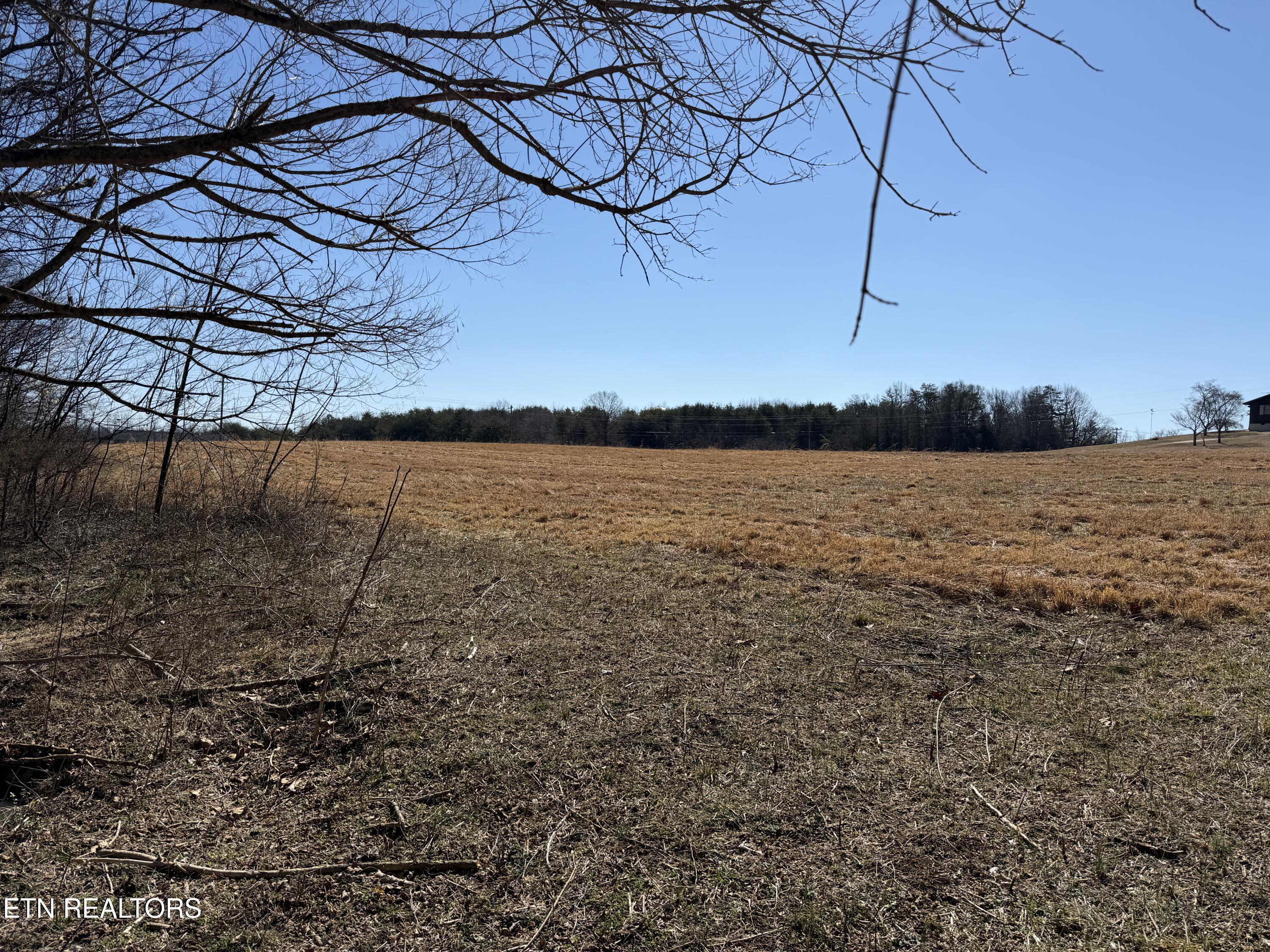 375 South White Pine Road White Pine, TN 37890 - Photo 21 of 26 IMG_2413