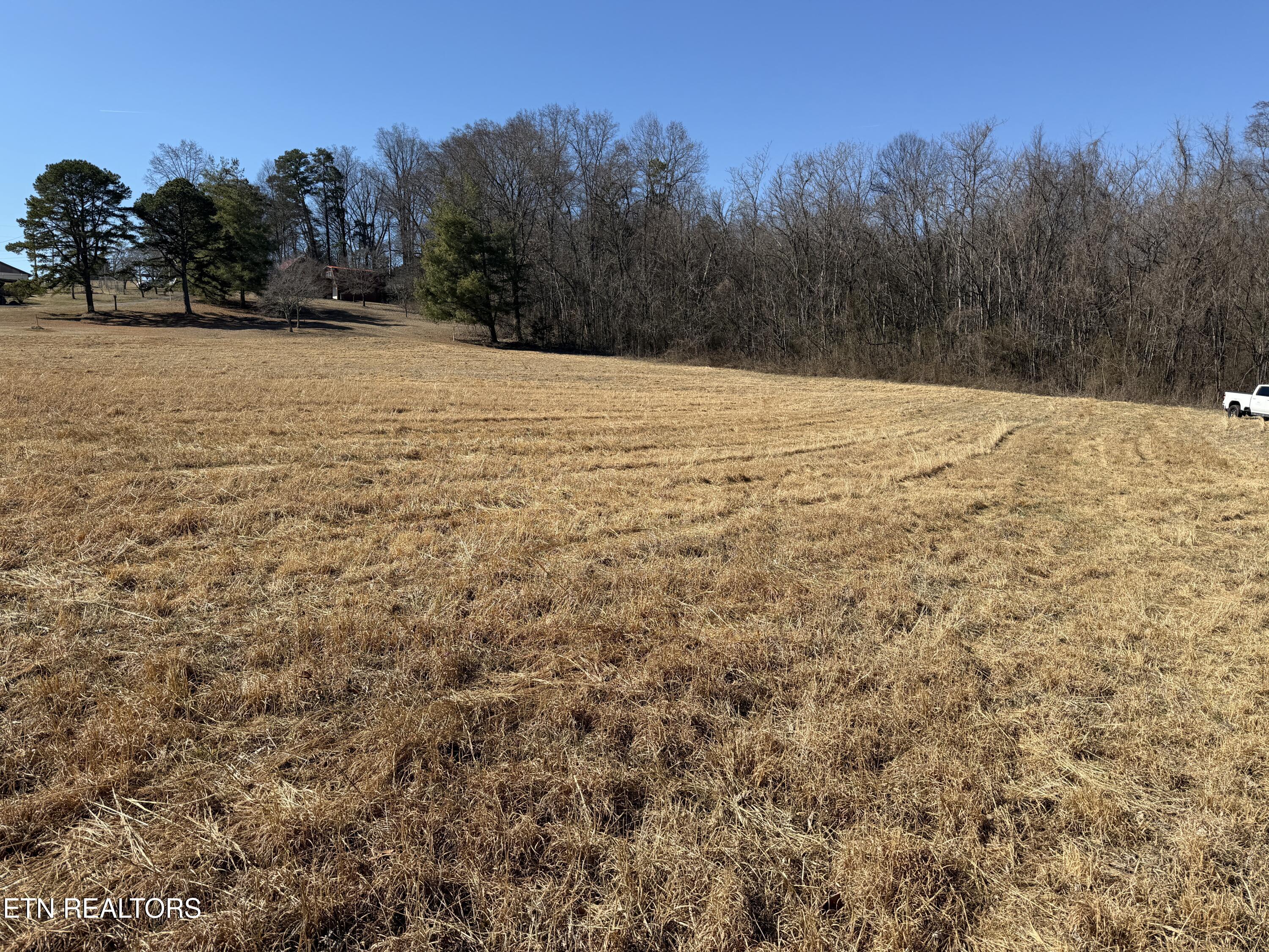 375 South White Pine Road White Pine, TN 37890 - Photo 23 of 26 IMG_2415