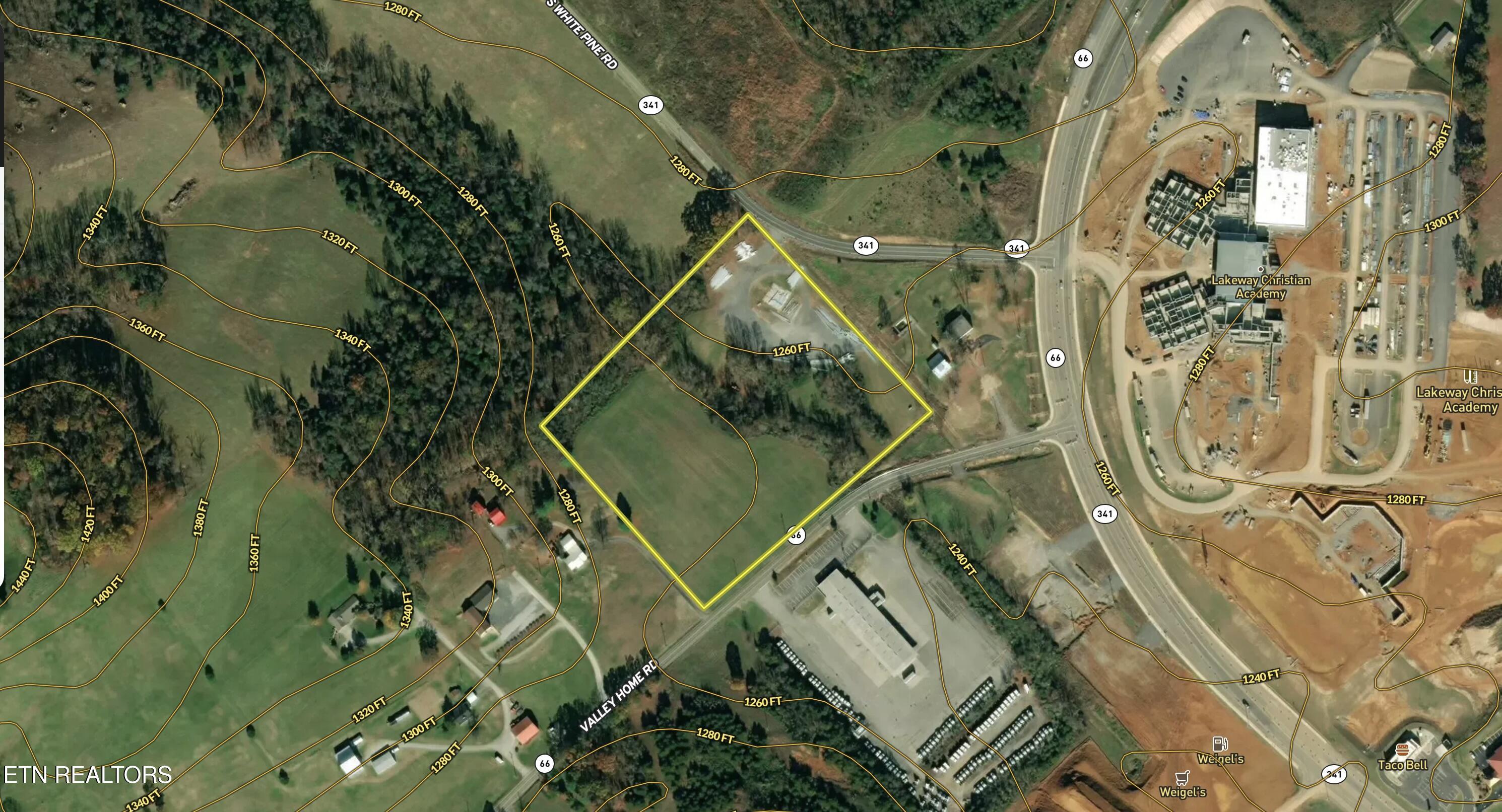 375 South White Pine Road White Pine, TN 37890 - Photo 3 of 26 2