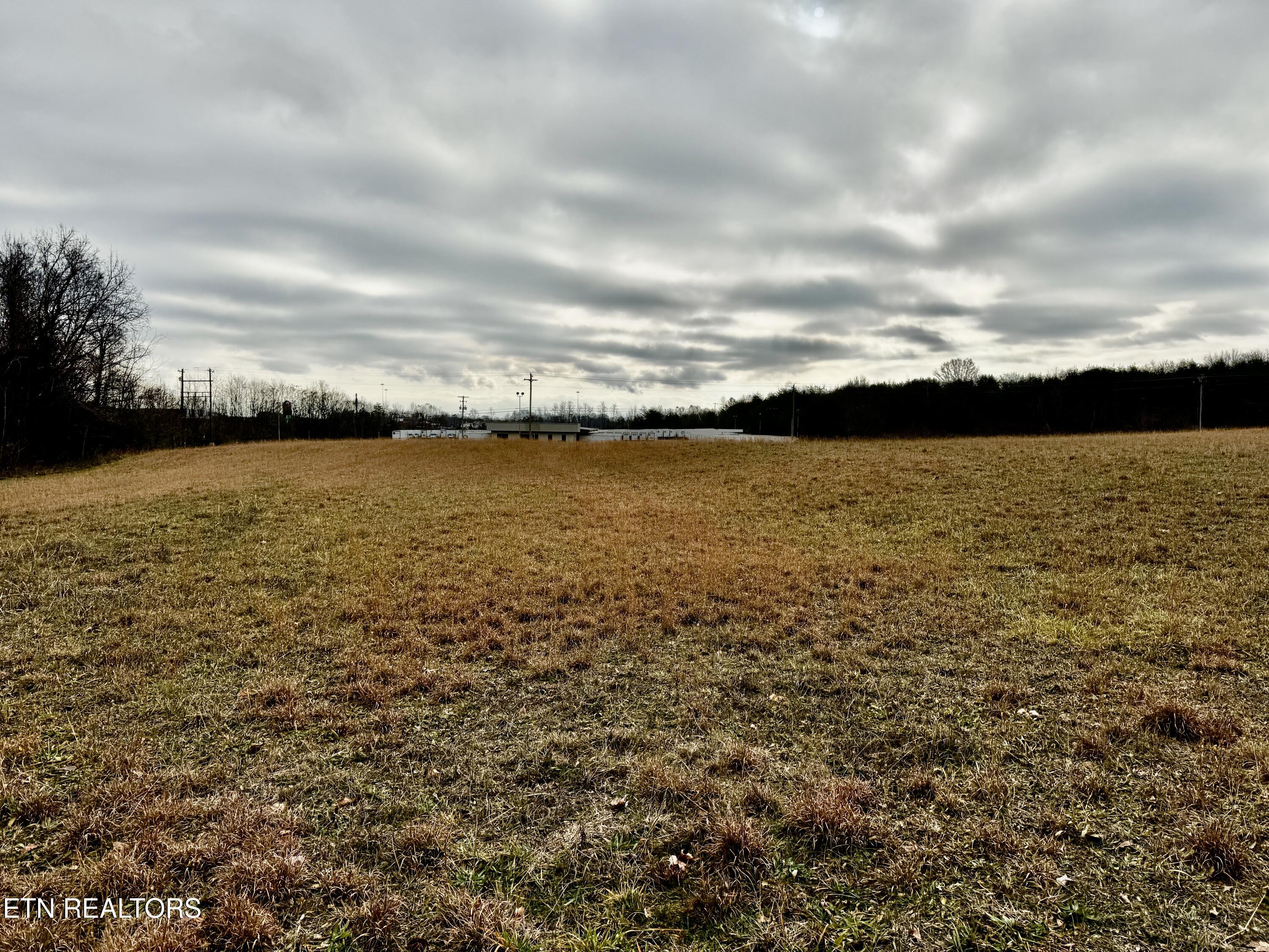 375 South White Pine Road White Pine, TN 37890 - Photo 8 of 26 IMG_0595