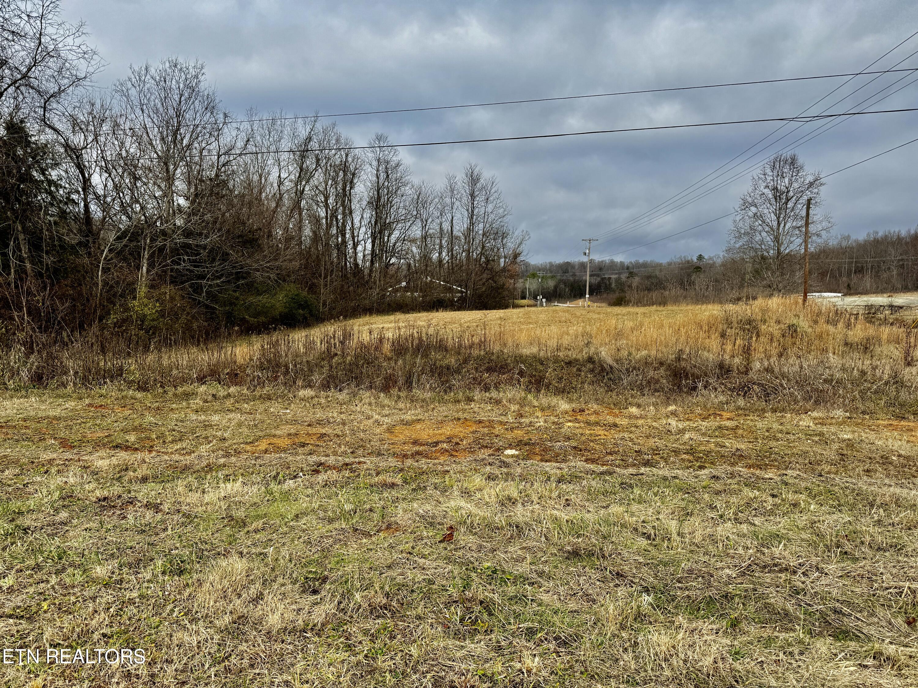 375 South White Pine Road White Pine, TN 37890 - Photo 9 of 26 IMG_0596