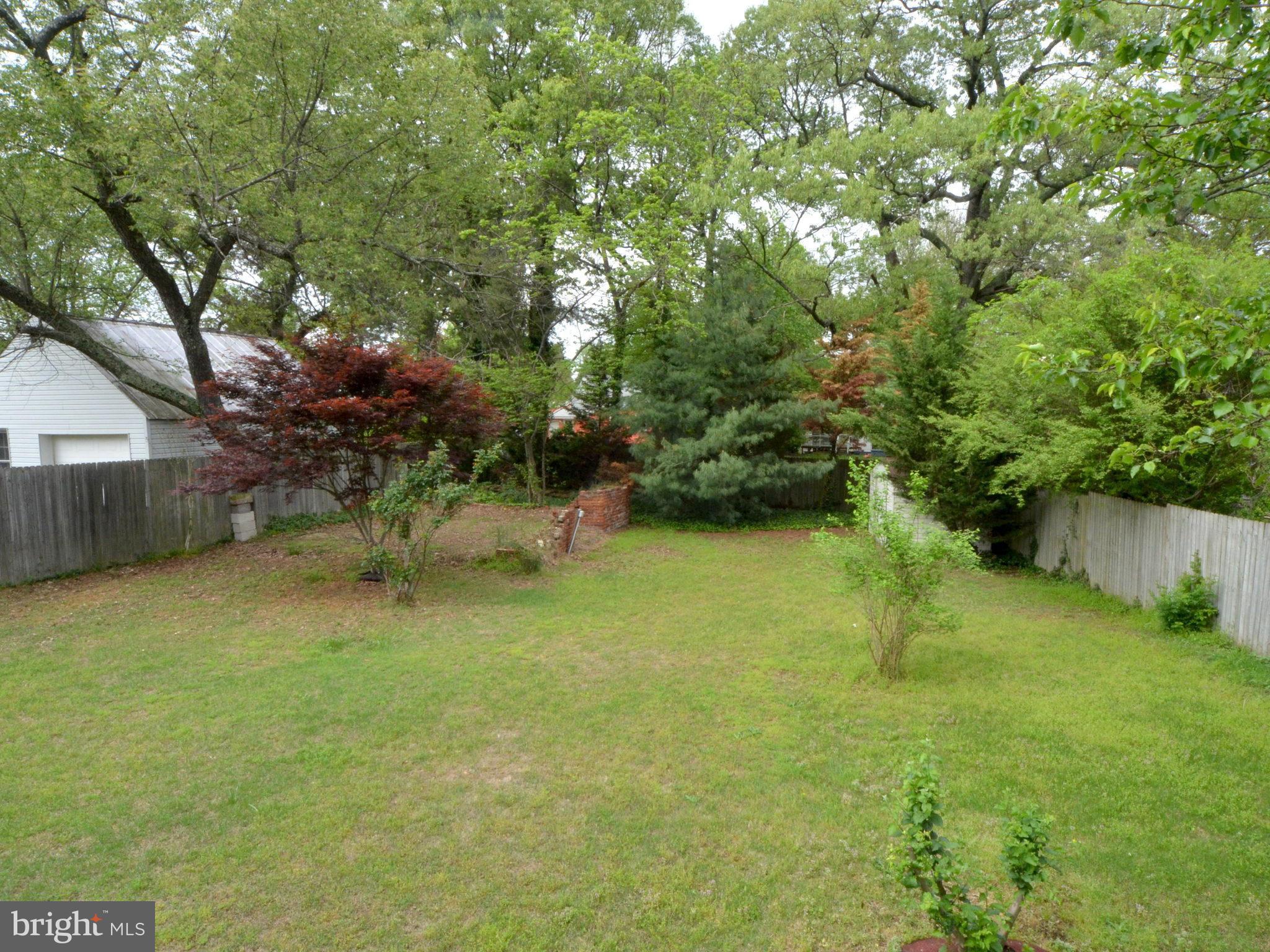 6720 Larkspur Road Morningside, MD 20746 - Photo 28 of 29 a backyard of a house with plants and large trees