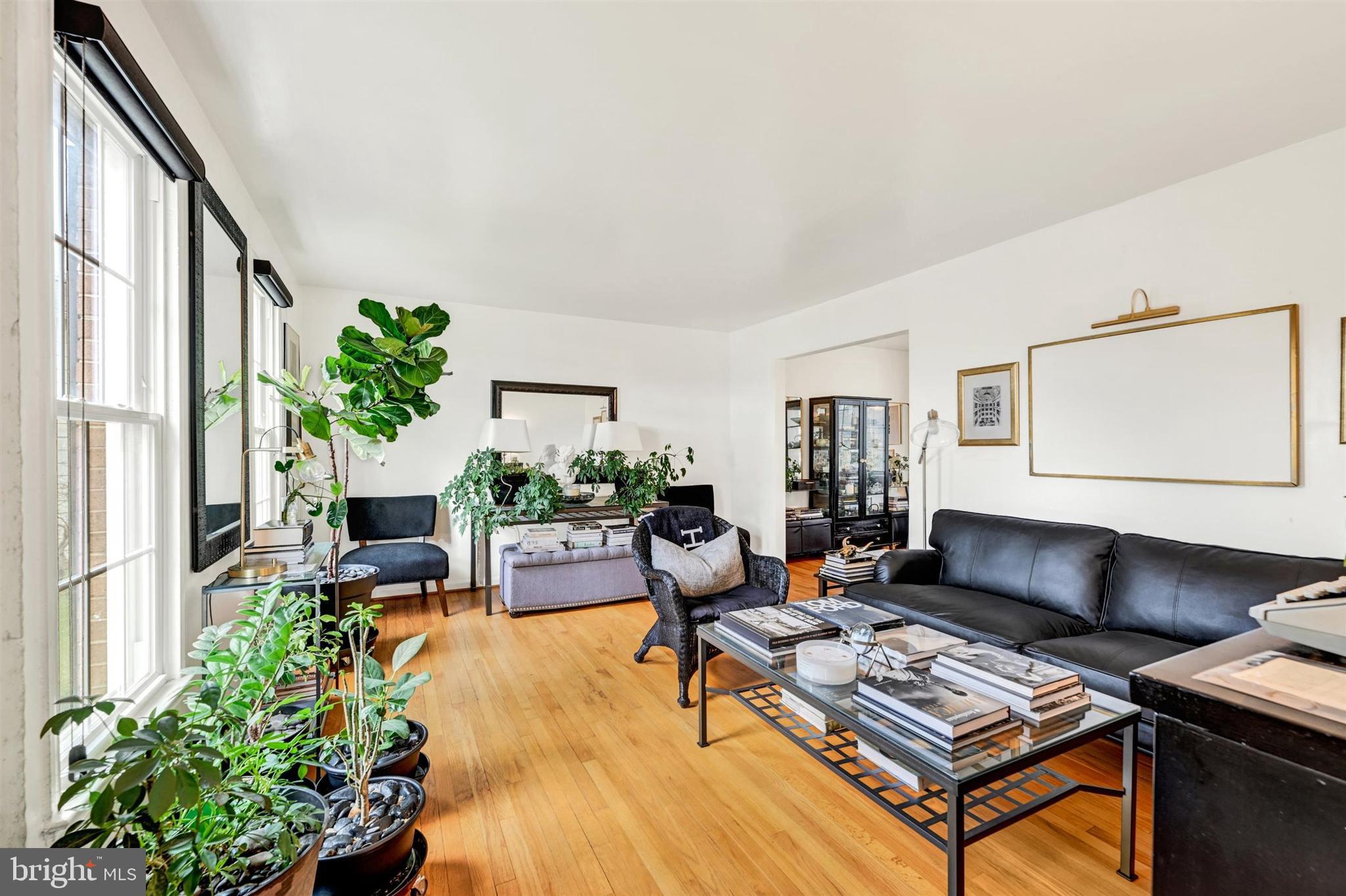 9206 Muskogee Place Adelphi, MD 20783 - Photo 7 of 43 a living room with furniture and a potted plant