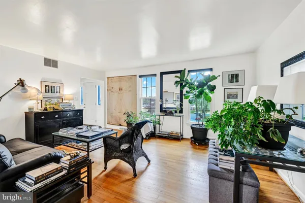 a living room with furniture and a potted plant