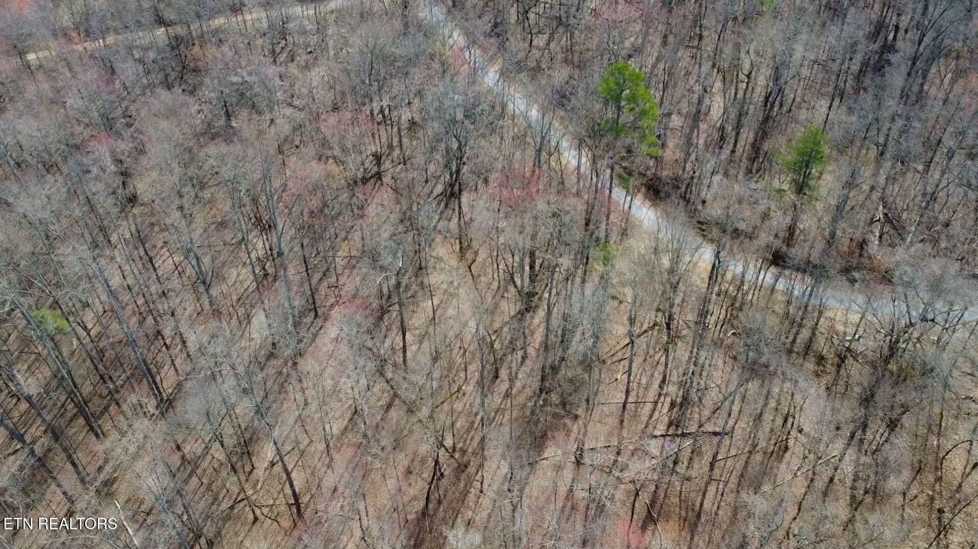 2297 Shady Cove Road Caryville, TN 37714 - Photo 12 of 60 Gallery Image 12