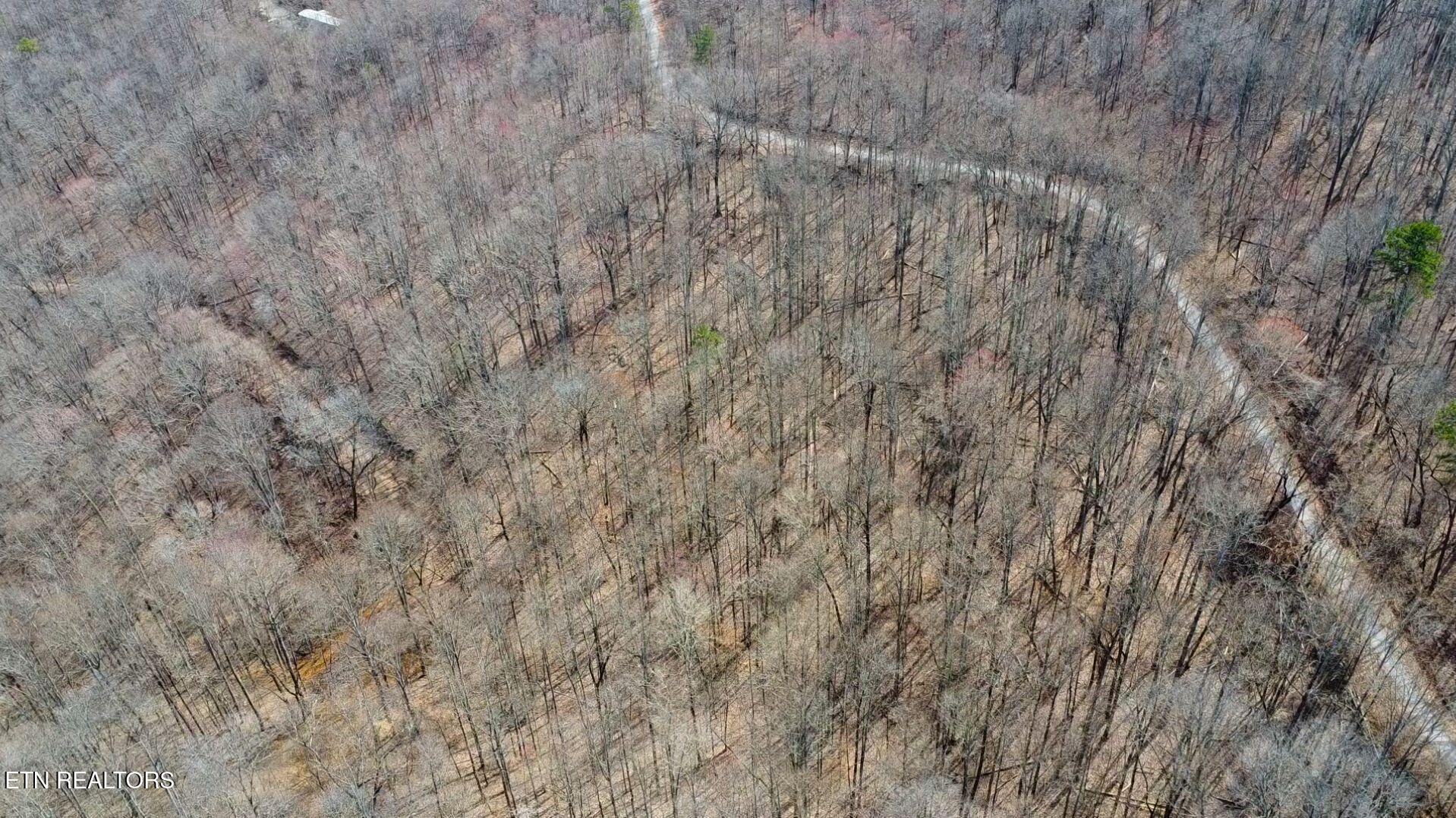 2297 Shady Cove Road Caryville, TN 37714 - Photo 13 of 60 Gallery Image 13