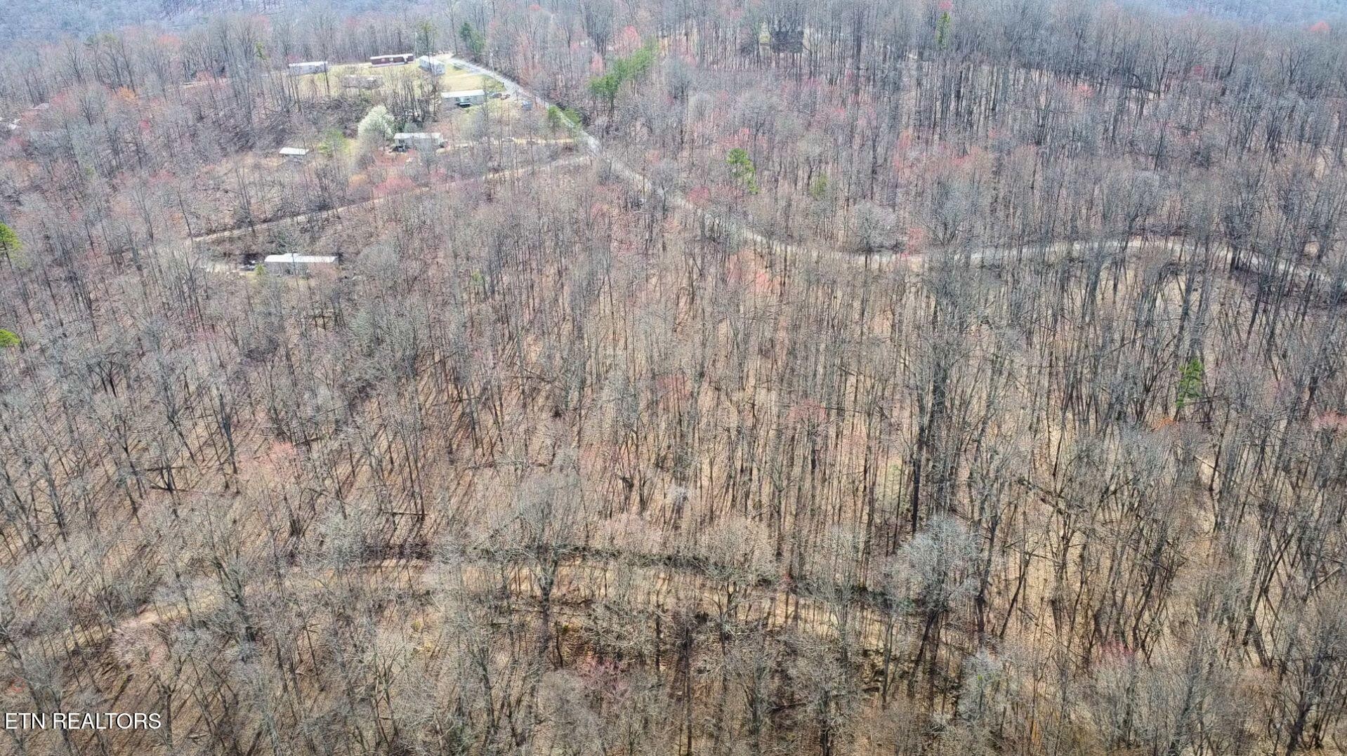2297 Shady Cove Road Caryville, TN 37714 - Photo 14 of 60 Gallery Image 14