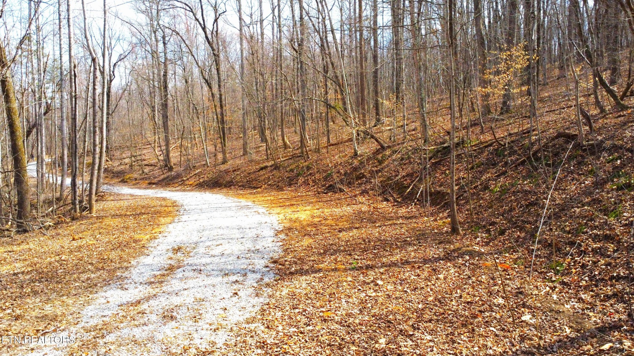 2297 Shady Cove Road Caryville, TN 37714 - Photo 15 of 60 Gallery Image 15