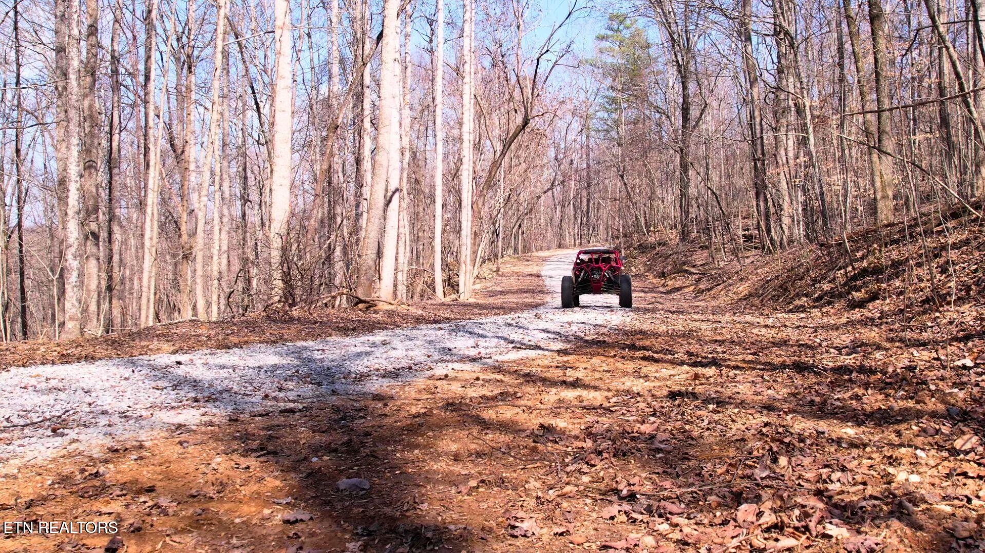 2297 Shady Cove Road Caryville, TN 37714 - Photo 17 of 60 Gallery Image 17