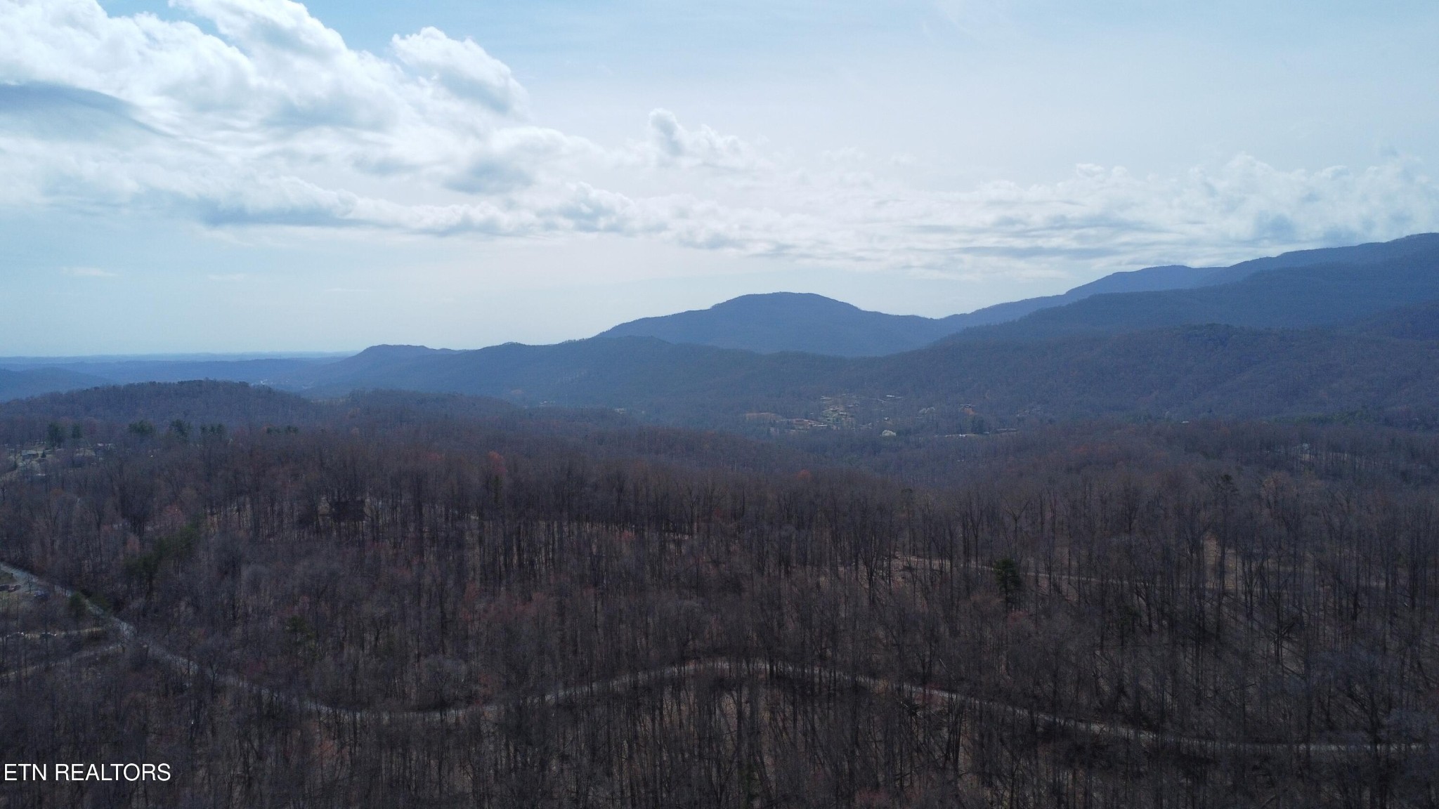2297 Shady Cove Road Caryville, TN 37714 - Photo 18 of 60 Gallery Image 18