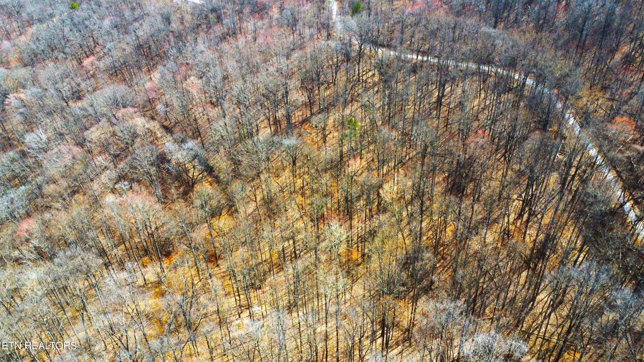 2297 Shady Cove Road Caryville, TN 37714 - Photo 20 of 60 Gallery Image 20