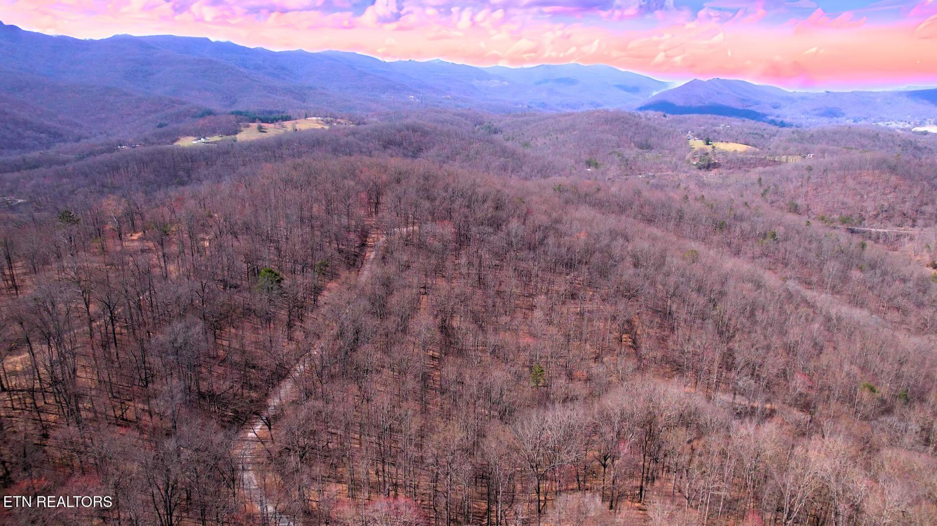2297 Shady Cove Road Caryville, TN 37714 - Photo 2 of 60 Gallery Image 2