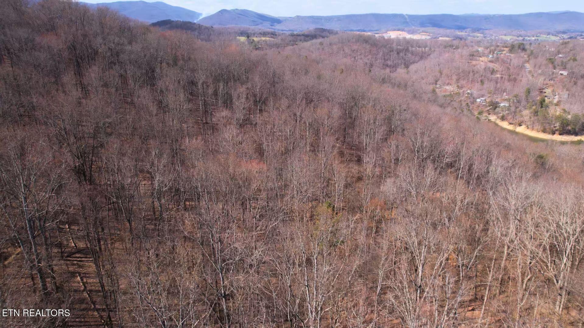 2297 Shady Cove Road Caryville, TN 37714 - Photo 21 of 60 Gallery Image 21