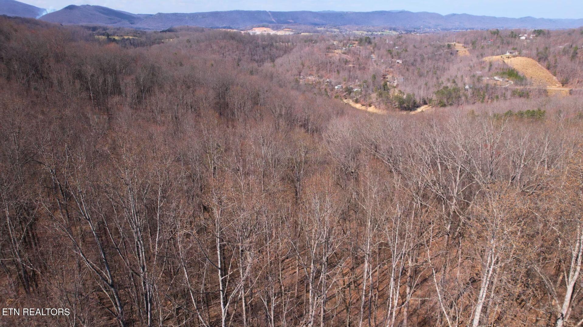 2297 Shady Cove Road Caryville, TN 37714 - Photo 22 of 60 Gallery Image 22